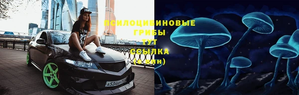 2c-b Медвежьегорск