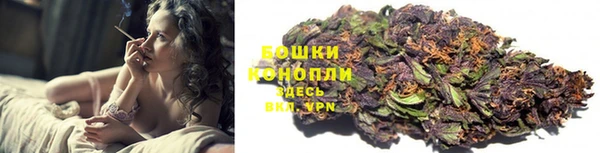 ГАЛЛЮЦИНОГЕННЫЕ ГРИБЫ Мегион