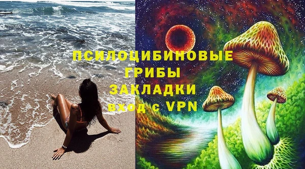 2c-b Медвежьегорск